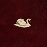 Telegram profile photo for سیلین فولدری𐙚
