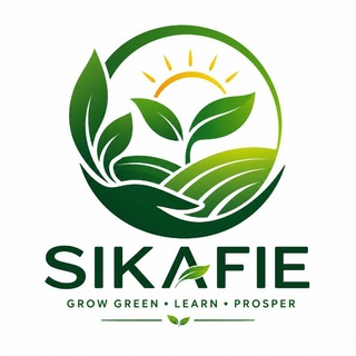 Telegram profile photo for Sikafie Investment