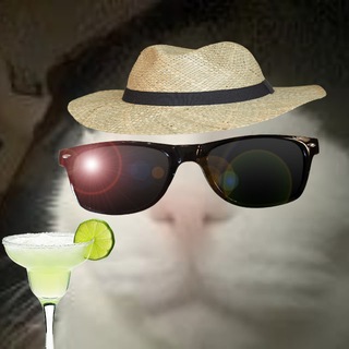 Telegram profile photo for Гіпсокартоновий сарай Андрійка🌴
