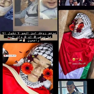 Telegram profile photo for الشهيد محمد خضور 💚☝🏽.