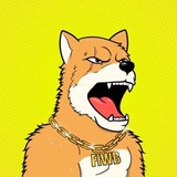 Telegram profile photo for FIWB - Entry Portal