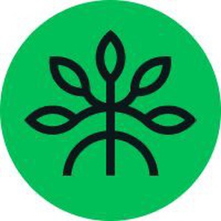 Telegram group profile photo for Mangrove 🌳 Community
