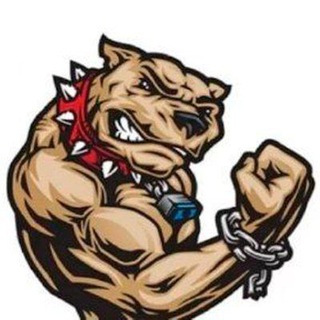 Telegram profile photo for Intankavel Brasil 🫥