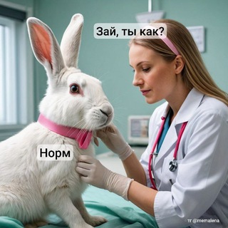 Telegram profile photo for Зай, ты как? ❤️🩹 Море, мемы, психология, любовь 🩵