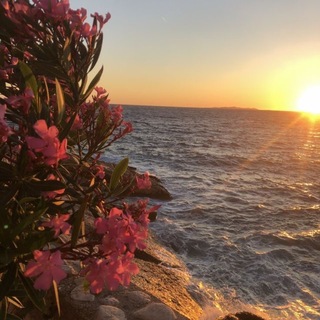 Telegram profile photo for مَثابة
