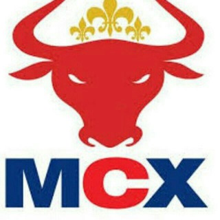 Telegram group profile photo for MCX Terminal