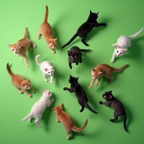 Telegram profile photo for Почём токены для народа?