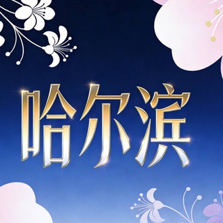 Telegram profile photo for 哈尔滨交流群