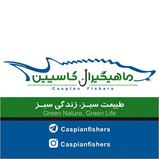 Telegram profile photo for 🎣ماهیــگیــران ڪاسپیــن 🐟