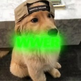 Telegram profile photo for +rep @wwer_krp
