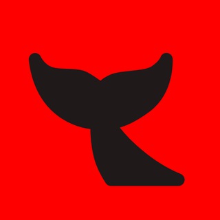 Telegram profile photo for КИТ