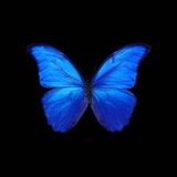 Telegram profile photo for γπππ«π―ππ§π πππ’π¦π