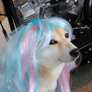Telegram profile photo for фрешмеми🇺🇦