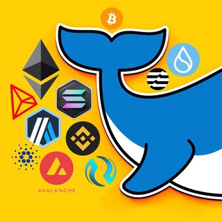 Telegram profile photo for Mr. BIG WHALE | Official
