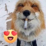 Telegram profile photo for Люля-кебаб