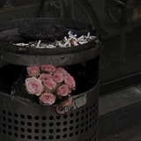 Telegram profile photo for жалкая привычка сердца.