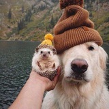 Telegram profile photo for ДОЛИНА GOODMAN’A