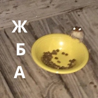 Telegram profile photo for Ж.Б.А