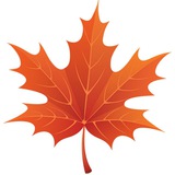 Telegram profile photo for Чинор.uz