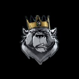Telegram profile photo for 💵Amtradingweb free💵
