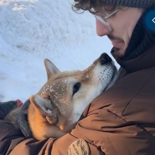 Telegram profile photo for Еврейское логово эл