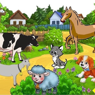 Telegram profile photo for Көрнекіліктер дидактикалық материалдар