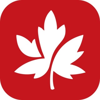 Telegram profile photo for 【红叶工作室】仿真手机银行模拟器