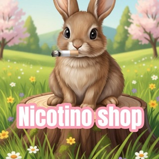 Telegram profile photo for Nicotino shop