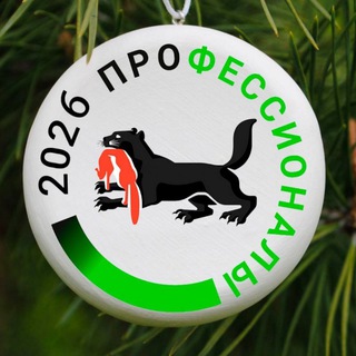 Telegram profile photo for Профессионалы | Иркутская область