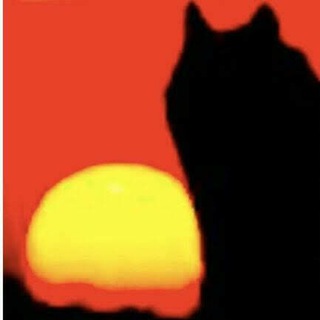 Telegram profile photo for Rewilding Wild–Europe