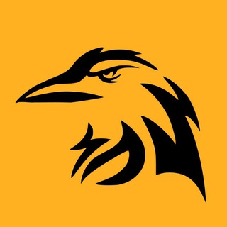 Telegram profile photo for Raven Market
