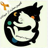 Telegram profile photo for کمپین حمایت از حیوانات