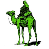 Telegram profile photo for badnet
