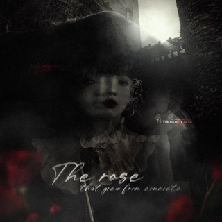 Telegram profile photo for ︎︎ ︎ ︎︎︎︎ ִ֕ ׄ 𝐿𝑖𝑠𝑎r◜ܽۛr 𓇬 ⨍d𝄒 ゙ࣲ ㅤຼ
