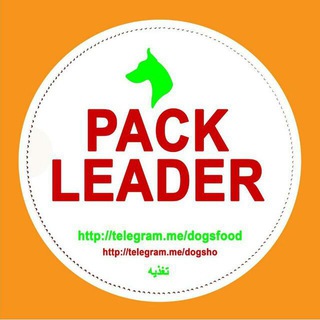 Telegram profile photo for تغذیه سگها