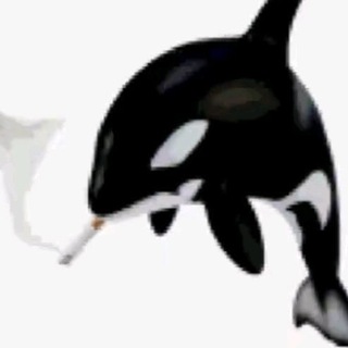 Telegram profile photo for G/Джи 'Shrimp's fan🦐
