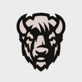 Telegram profile photo for CryptoBison