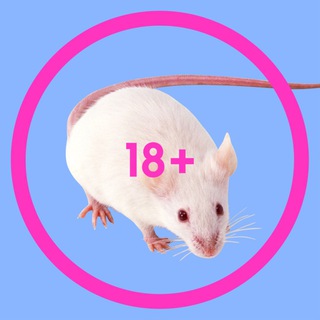 Telegram profile photo for Панчлайн Слив