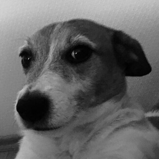 Telegram profile photo for Шаффлята