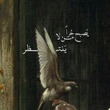 Telegram profile photo for دائماً هُنا 🤎🍁 |عبْدِالرًّحمْنً|