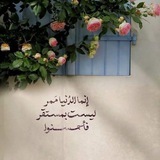 Telegram profile photo for ﴿ وَاعْبُدْ رَبَّكَ حَتَّىٰ يَأْتِيَكَ الْيَقِينُ ﴾