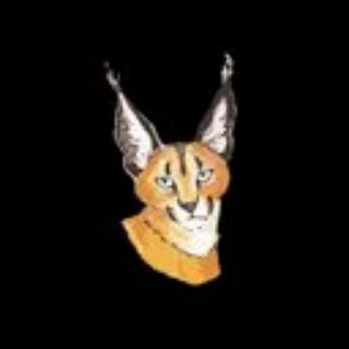 Telegram profile photo for Caracal Swap