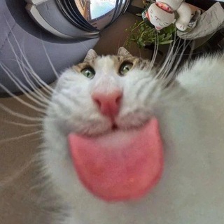Telegram profile photo for хрутка moment