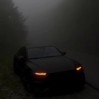 Telegram profile photo for хата яко🦍