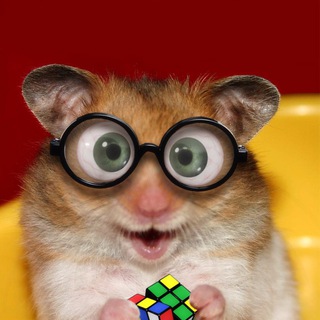 Telegram profile photo for Стереокартинки