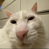 Telegram profile photo for شماهرچيدوسداريصداکن.