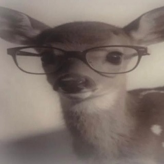 Telegram profile photo for deer Koval