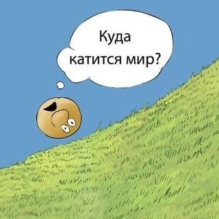 Telegram profile photo for Куда мы катимся 🤯