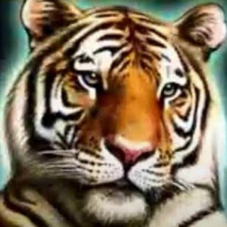 Telegram profile photo for ммм, мемы