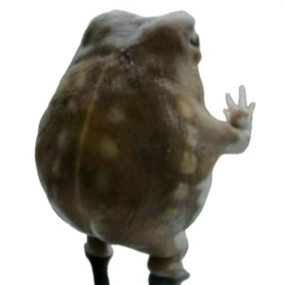 Telegram profile photo for Переходник Раффи❗